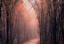 手机上玩股票下载什么软件:今日配资-造车新势力8月交付量：“零小蔚”均创历史新高 理想“掉队”