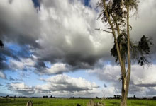 十大股票软件品牌排名:炒股配资网上配资配资网-十年路线图出炉 国家“人工智能+”战略指向何方？