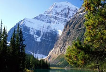 股票配资开户手机版:配资低息炒股配资门户-历史性时刻！寒武纪跨越“高山” 海光信息拟构建“平台型航母” 龙芯中科还在“战略性亏损”