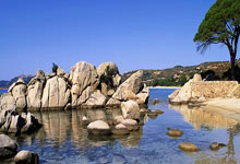 配资知名炒股配资门户:昆明配资机构名单查询-A股九月开门红！沪指再度逼近3900点 科技股进一步分化